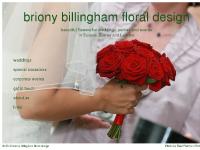 brionybillingham.com brionybillingham.com