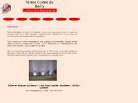 Terres Cuites du Berry - Fabrication de briques, plaquettes et dalles en terre cuite