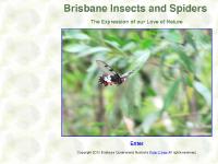 www.BrisbaneInsects.com