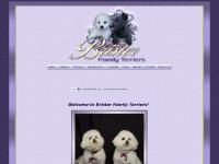 Scottish Terrier and Bichon Frise For Sale in Texas | Brister Family Terriers Scottish Terrier and Bichon Frise For Sale in Texas | Brister Family Terriers