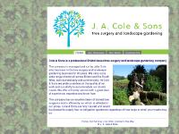 bristol-tree-surgeons.co.uk tree, tree surgeon, tree surgeons bristol-tree-surgeons.co.uk tree, tree surgeon, tree surgeons