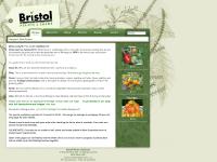 bristol.co.nz Frank Bristol bristol.co.nz Frank Bristol