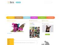 Top-quality Czech pet food for dogs and cats - Dry food for dogs and cats - Brit