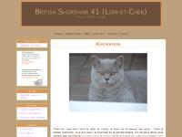 British Shorthair British Shorthair