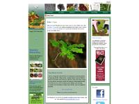 Take part, Tree shop, Free things, Woodland Trust Take part, Tree shop, Free things, Woodland Trust