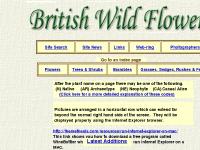british-wild-flowers.co.uk Links, Web-ring, Photographers british-wild-flowers.co.uk Links, Web-ring, Photographers