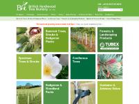 Bareroot Trees, Hedging Plants, Shrubs | British Hardwood Tree Nursery Bareroot Trees, Hedging Plants, Shrubs | British Hardwood Tree Nursery