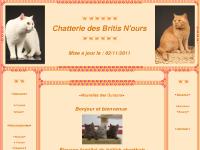 chatterie des britis n'ours