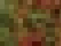 ALLA ROPA 3 ALLA ROPA 3