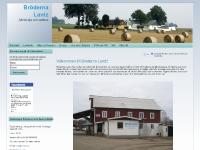 liten brlantz.se skärmbild