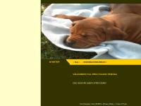 liten brolyckanskennel.se skärmbild