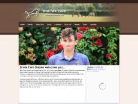 Brook Farm Stables - Riding Lessons, Hacking & Livery just outside Colchester. Brook Farm Stables - Riding Lessons, Hacking & Livery just outside Colchester.