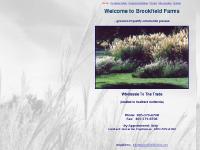 Brookfield Farms: Growers Of Ornamental Grasses Brookfield Farms: Growers Of Ornamental Grasses