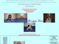 Cavalier King Charles Spaniel Breeders, Cavalier King Charles Spaniel Puppy, King Charles Spaniel Cavalier King Charles Spaniel Breeders, Cavalier King Charles Spaniel Puppy, King Charles Spaniel