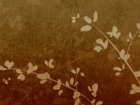 Estimated Date of Delivery Tool, FAQs, Medicaid reimbursement triumph!, see all birth announcements... Estimated Date of Delivery Tool, FAQs, Medicaid reimbursement triumph!, see all birth announcements...