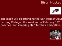 Bison Hockey 2010