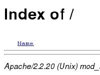 Index of / Index of /