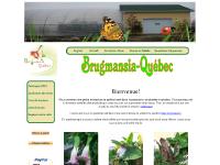 Bananiers, Brugmansias, Blanc / Pêche, Jaune / Orange Bananiers, Brugmansias, Blanc / Pêche, Jaune / Orange