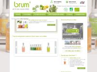 brum.fr brum.fr