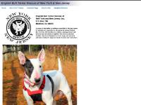 btrescuenynj.com Bull Terrier, Target dog, New York btrescuenynj.com Bull Terrier, Target dog, New York