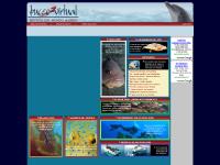 Buceo Virtual