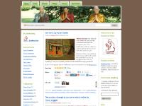 buddhismnow.wordpress.com Advice, eMags, Dana&nbsp;bowl