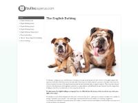 Bullie Pups R Us English Bulldogs - Champion Pedigree, Wrinkled English Bulldog Puppies For Sale