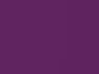 Bullride, Mekanisk Tjur, Sumobrottning och andra Event!