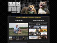bullymag.fr bullymag.fr