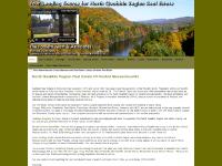 Buyer Reports, Loan Analysis, Questions, Sellers Buyer Reports, Loan Analysis, Questions, Sellers
