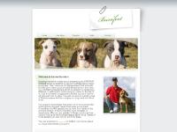 burnfoot.se Our dogs, Puppies, Links burnfoot.se Our dogs, Puppies, Links