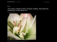 burstmode.wordpress.com Burstmode’s Weblog, Flashbacks, And then there are&nbsp;times