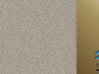 Burton Civic Society