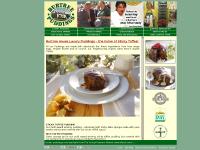 Sticky Toffee Puddings - Ginger - Chocolate - Gluten Free - Christmas - Burtree House - Farm Shop