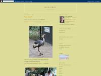 burundi-photo burundi-photo