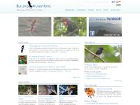 Burung-Nusantara / Birds-Indonesia