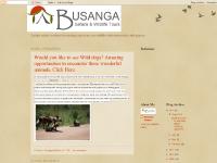 Busanga Safaris