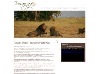 Busanga Safaris