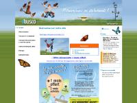 busco.fr busco, concarneau, bus