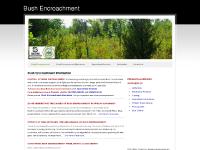 Bush Encroachment - Bush Encroachment Control