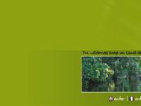 bushhouse-madagascar.com engLang, frLang