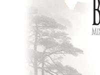 Welcome to Bushin Mixed Martial Arts - MMA, Muay Thai Kick Boxing, Judo, Karate, Jiu Jitsu - in Herts, UK