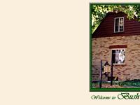 Bush Insurance Agency