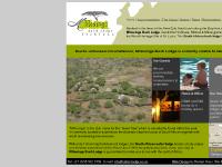 bushlodge.co.za lodge safari, bush lodge south africa, luxury bush lodge