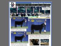  heifers, show calves for sale, steers, cattle