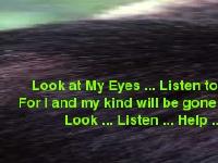 Bushmeat Project; Save the Great Apes; Chimps,Gorillas, Bonobos, Orangs