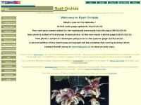 orchids stanhopeas tropical flowers care plants growing sales photos orchids stanhopeas tropical flowers care plants growing sales photos