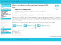 business-consultancy-services.co.uk