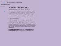 Business Consultant in Wales