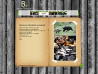 liten bwmedia.se skärmbild